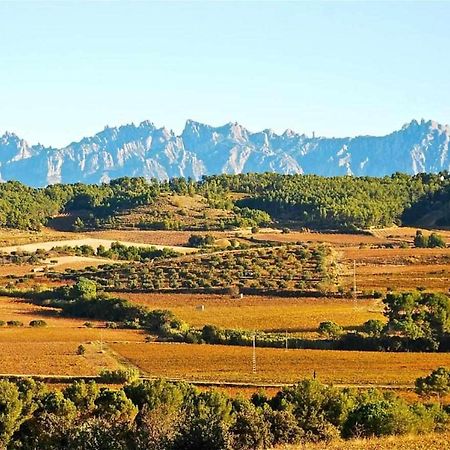 Hotel Rural Hd Riudebitlles Art I Allotjament Sant Pere de Riudebitlles Экстерьер фото