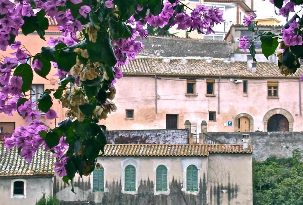 Hotel Rural Hd Riudebitlles Art I Allotjament Sant Pere de Riudebitlles Экстерьер фото