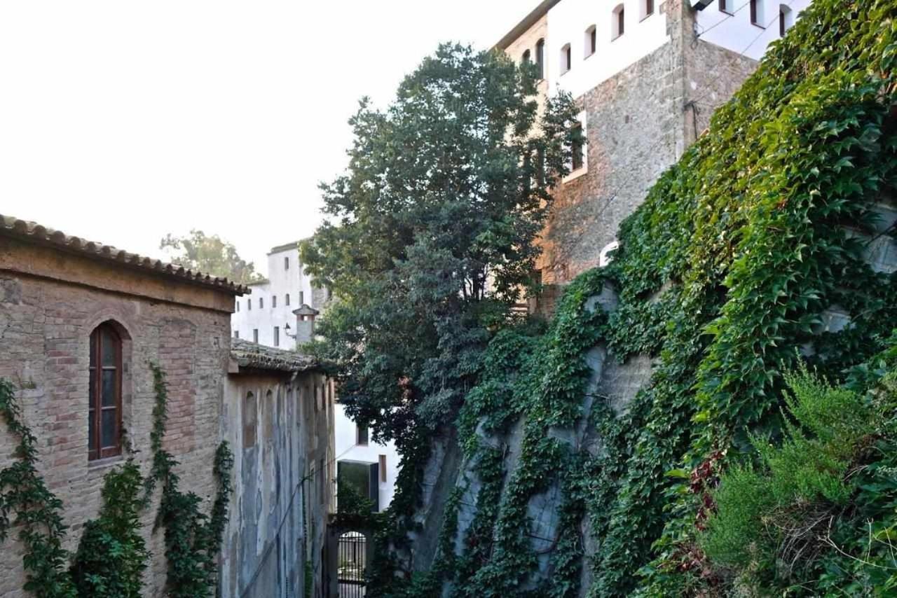 Hotel Rural Hd Riudebitlles Art I Allotjament Sant Pere de Riudebitlles Экстерьер фото