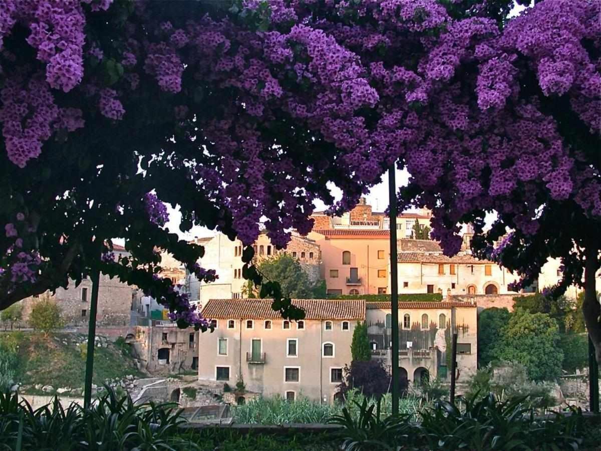 Hotel Rural Hd Riudebitlles Art I Allotjament Sant Pere de Riudebitlles Экстерьер фото