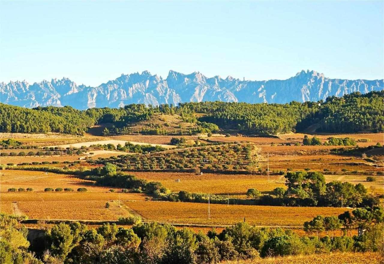 Hotel Rural Hd Riudebitlles Art I Allotjament Sant Pere de Riudebitlles Экстерьер фото